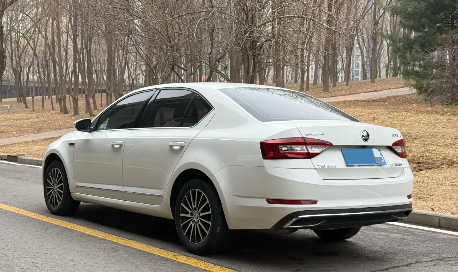 2019 Skoda Octavia 1.2T 116HP L4 7DCT,autocango,china used car exporter,china ev exporter,chinese used car exporter,chinese used ev exporter