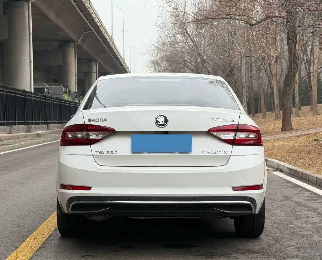 2019 Skoda Octavia 1.2T 116HP L4 7DCT,autocango,china used car exporter,china ev exporter,chinese used car exporter,chinese used ev exporter