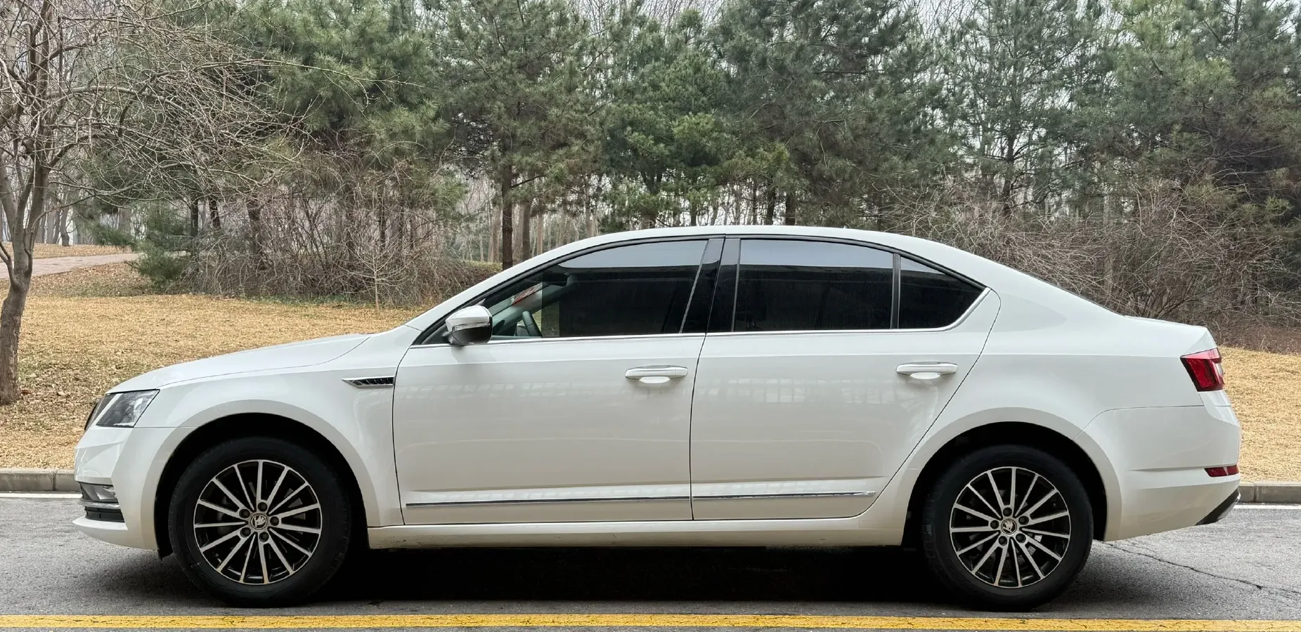 2019 Skoda Octavia 1.2T 116HP L4 7DCT,autocango,china used car exporter,china ev exporter,chinese used car exporter,chinese used ev exporter