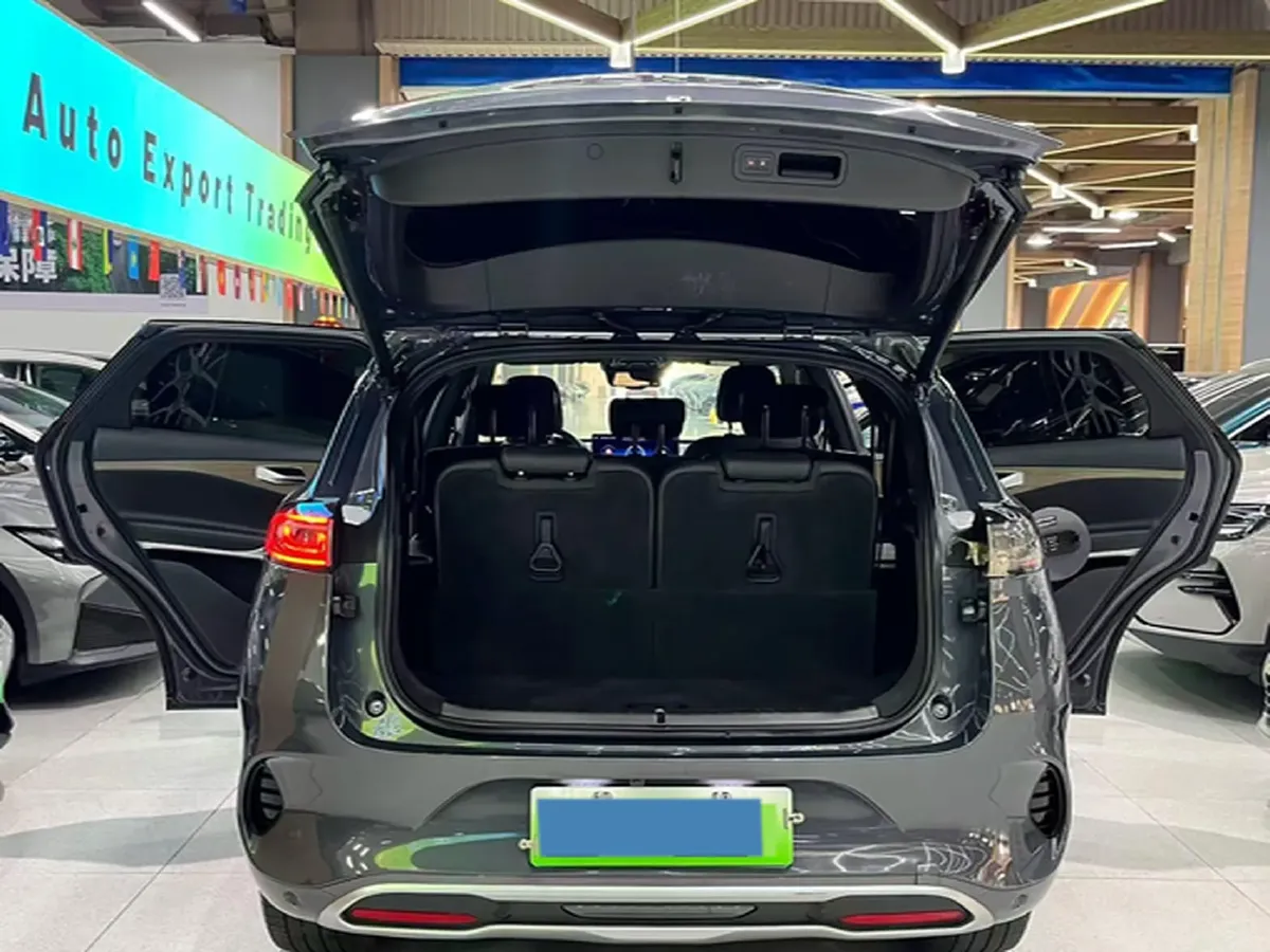 2020 Denza X 2.0T 192HP L4 6DCT PHEV 20KWH,autocango,china used car exporter,china ev exporter,chinese used car exporter,chinese used ev exporter