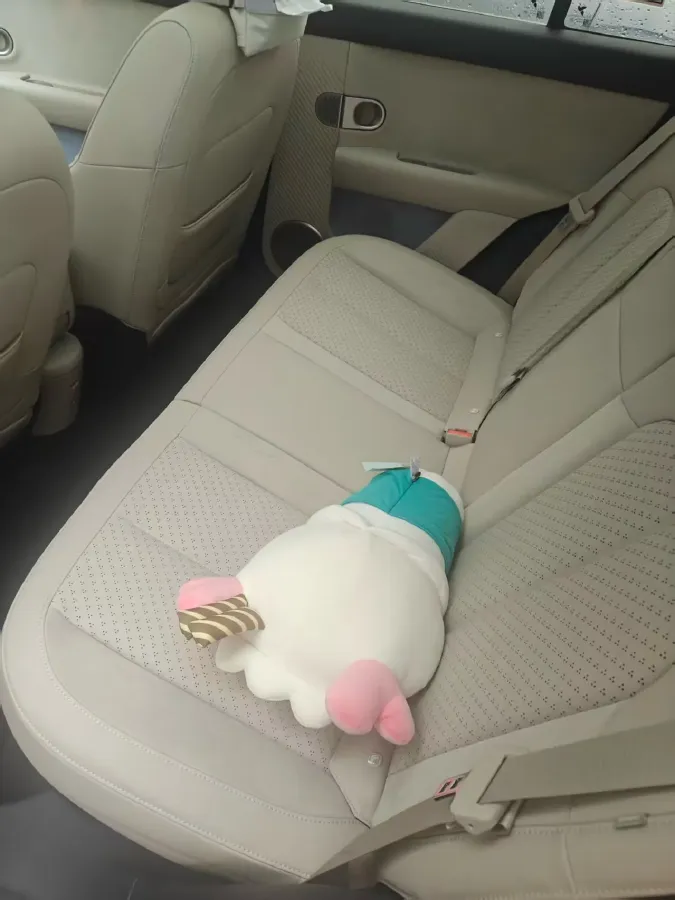 2026 Firefly Firefly BEV,autocango,china used car exporter,china ev exporter,chinese used car exporter,chinese used ev exporter