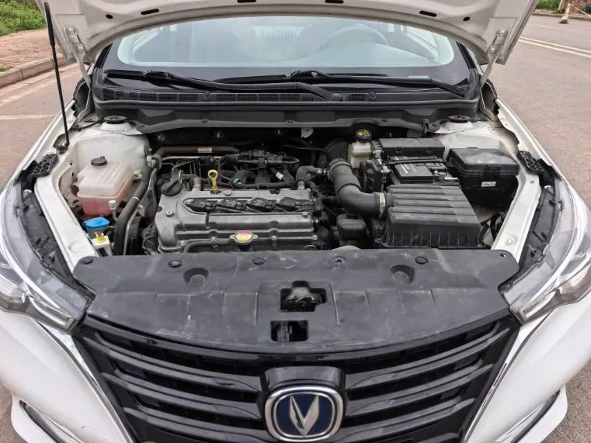 2019 ChangAn Alsvin 1.5L 107HP L4 5DCT,autocango,china used car exporter,china ev exporter,chinese used car exporter,chinese used ev exporter