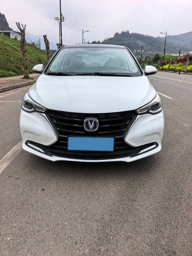 2019 ChangAn Alsvin 1.5L 107HP L4 5DCT,autocango,china used car exporter,china ev exporter,chinese used car exporter,chinese used ev exporter
