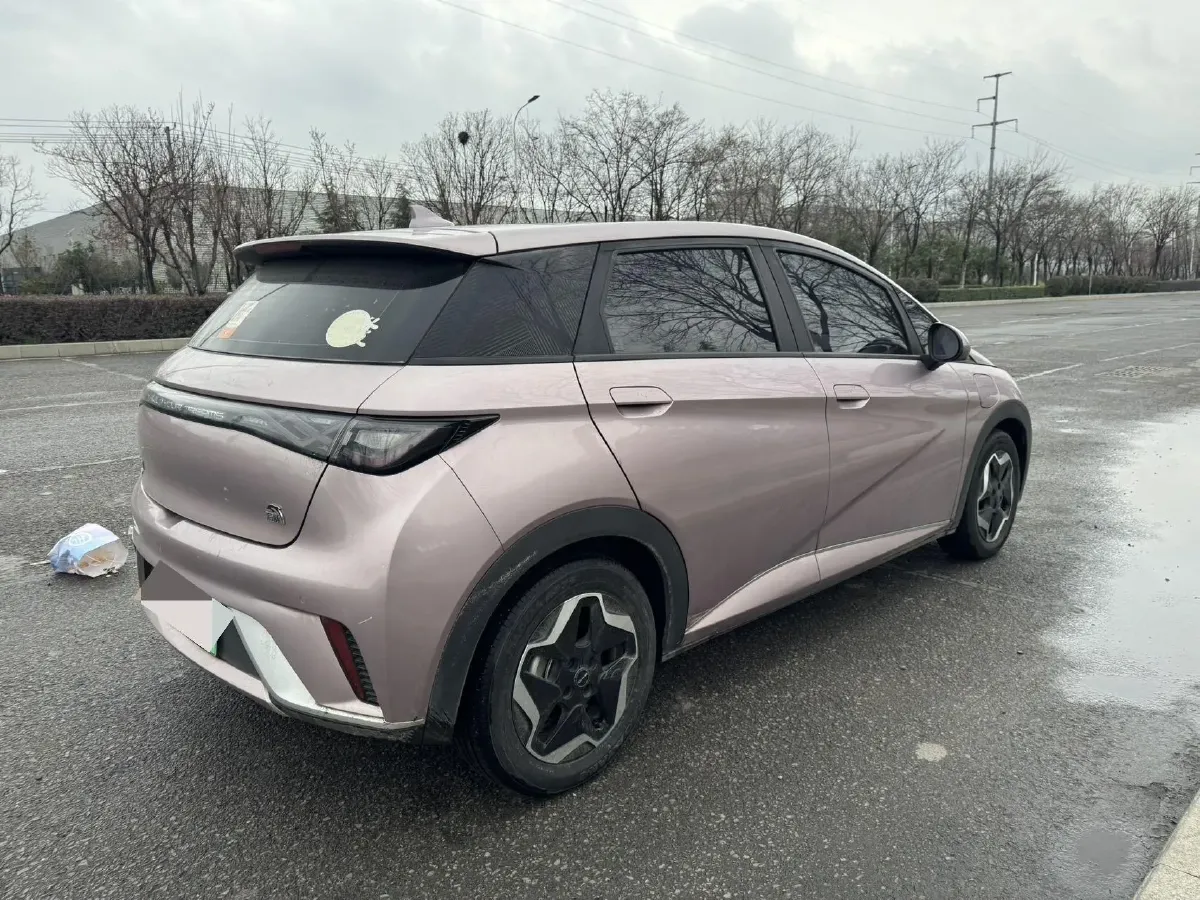 2021 BYD Yuan Pro BEV 50.1KWH,autocango,china used car exporter,china ev exporter,chinese used car exporter,chinese used ev exporter