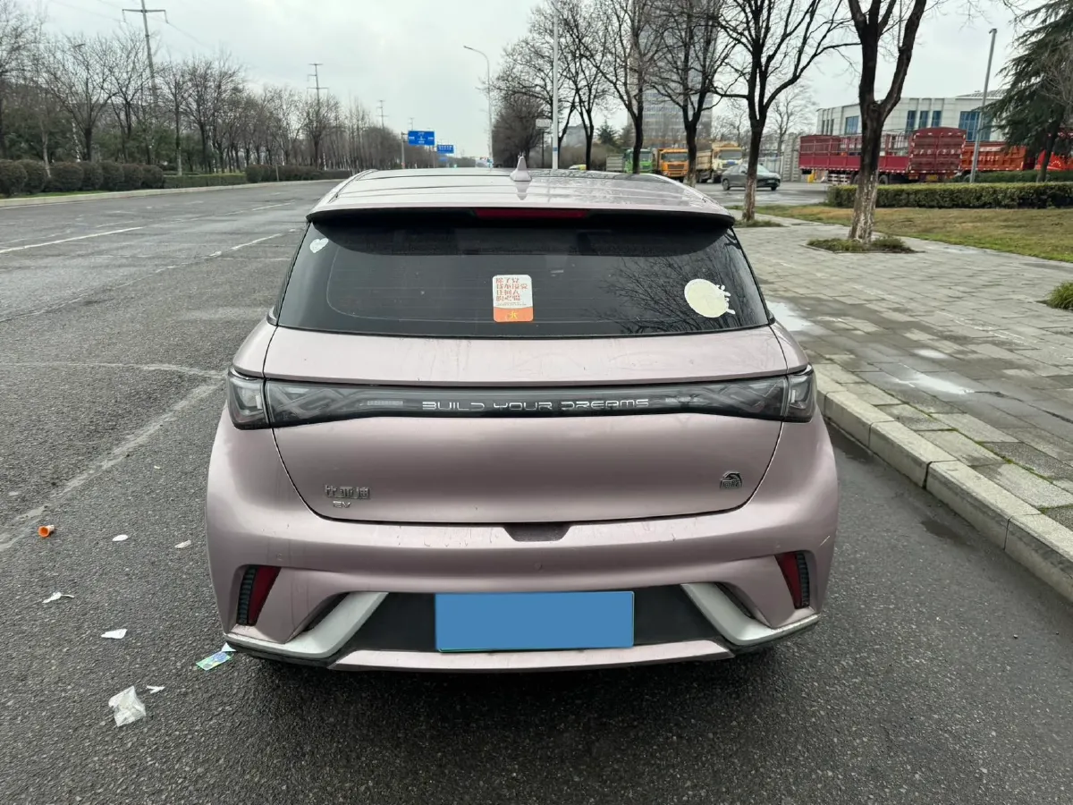 2021 BYD Yuan Pro BEV 50.1KWH,autocango,china used car exporter,china ev exporter,chinese used car exporter,chinese used ev exporter