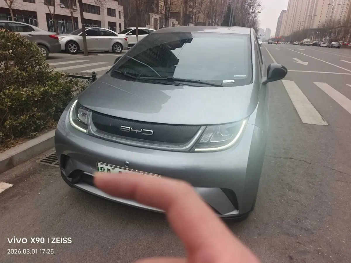 2023 BYD Dolphin BEV 44.928KWH,autocango,china used car exporter,china ev exporter,chinese used car exporter,chinese used ev exporter