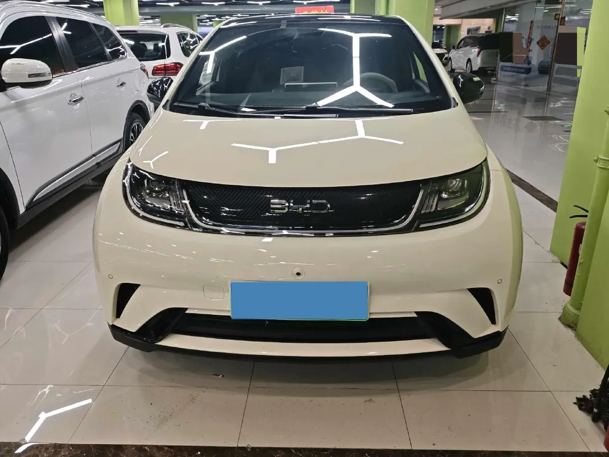 2024 BYD Dolphin BEV 44.928KWH,autocango,china used car exporter,china ev exporter,chinese used car exporter,chinese used ev exporter