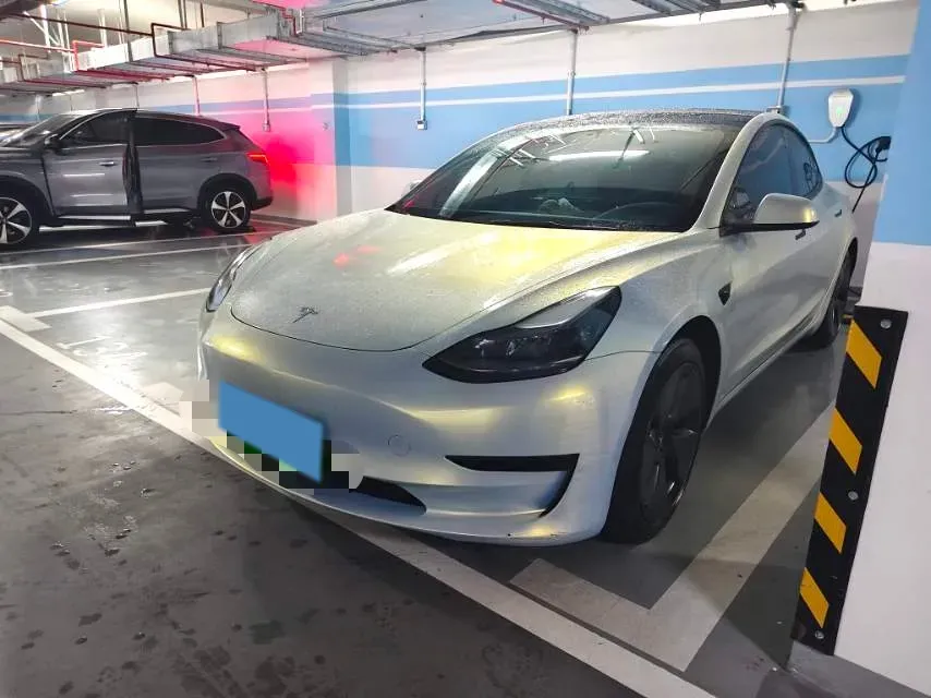 2021 Tesla Model 3 BEV 55KWH,autocango,china used car exporter,china ev exporter,chinese used car exporter,chinese used ev exporter