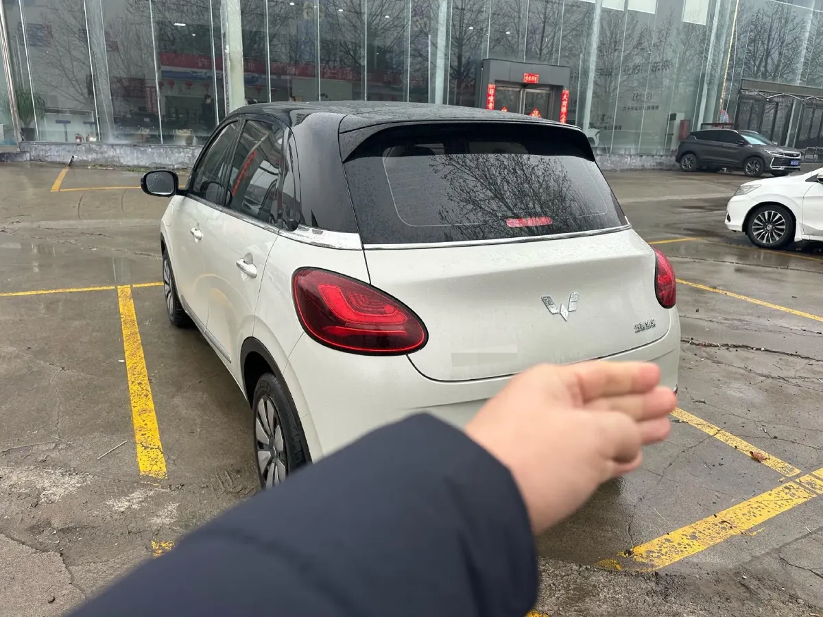 2023 WuLing BinGuo BEV 37.9KWH,autocango,china used car exporter,china ev exporter,chinese used car exporter,chinese used ev exporter