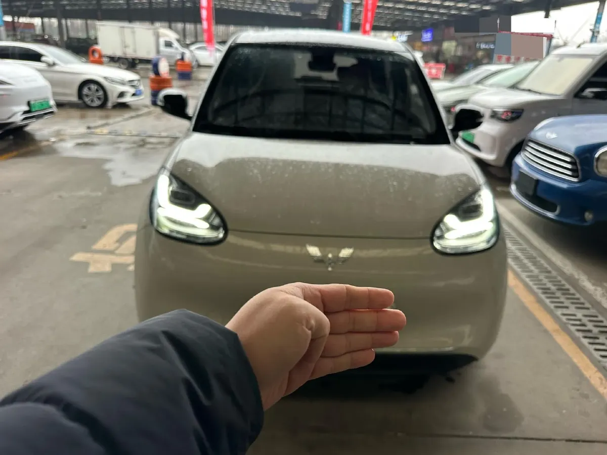 2023 WuLing BinGuo BEV 37.9KWH,autocango,china used car exporter,china ev exporter,chinese used car exporter,chinese used ev exporter