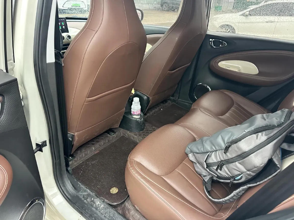 2023 WuLing BinGuo BEV 37.9KWH,autocango,china used car exporter,china ev exporter,chinese used car exporter,chinese used ev exporter