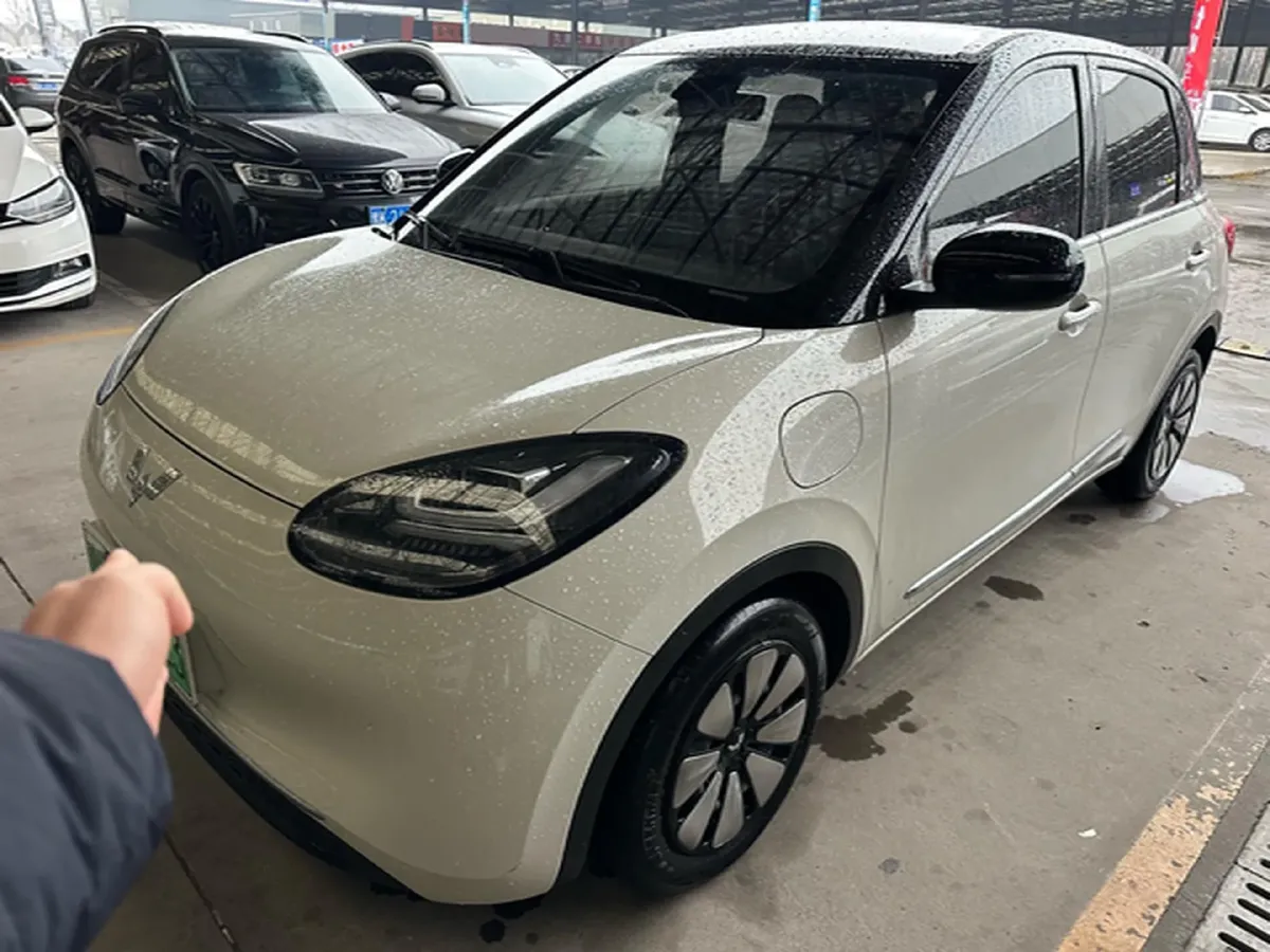 2023 WuLing BinGuo BEV 37.9KWH,autocango,china used car exporter,china ev exporter,chinese used car exporter,chinese used ev exporter