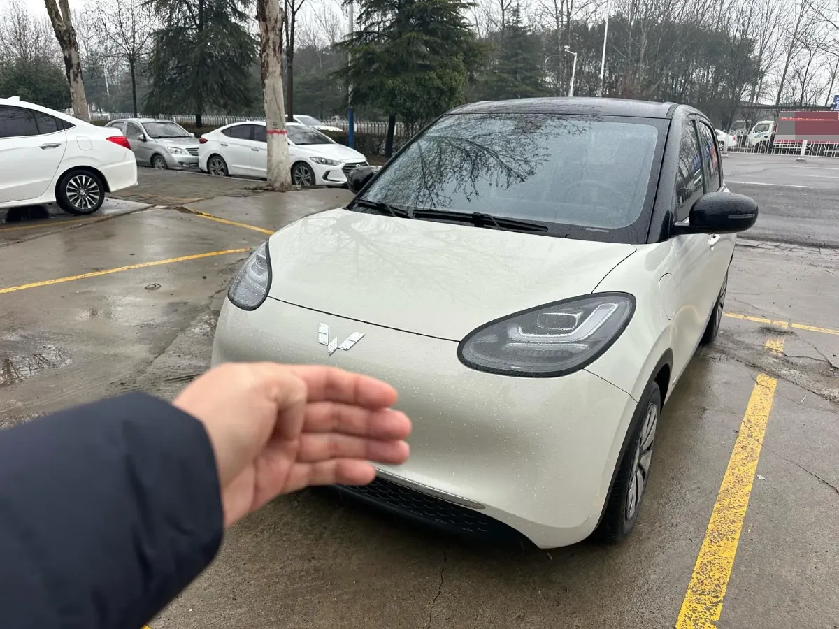 2023 WuLing BinGuo BEV 37.9KWH,autocango,china used car exporter,china ev exporter,chinese used car exporter,chinese used ev exporter