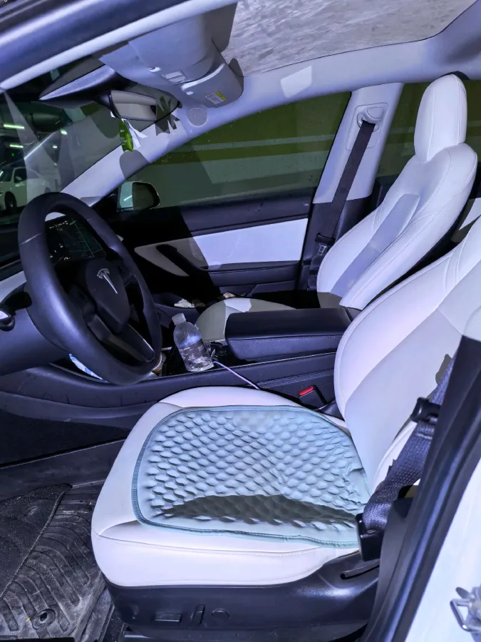 2019 Tesla Model 3 BEV 60KWH,autocango,china used car exporter,china ev exporter,chinese used car exporter,chinese used ev exporter