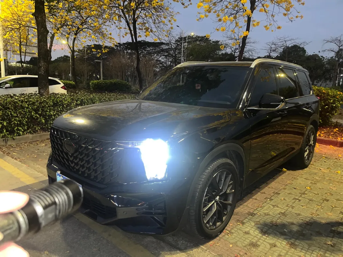 2022 GAC Trumpchi GS8 2.0T 252HP L4 8AT,autocango,china used car exporter,china ev exporter,chinese used car exporter,chinese used ev exporter