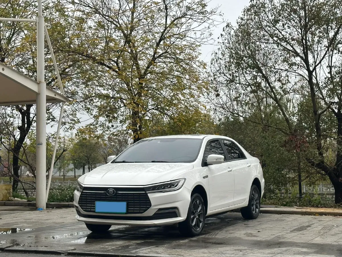 2021 BYD Qin BEV 53.56KWH,autocango,china used car exporter,china ev exporter,chinese used car exporter,chinese used ev exporter