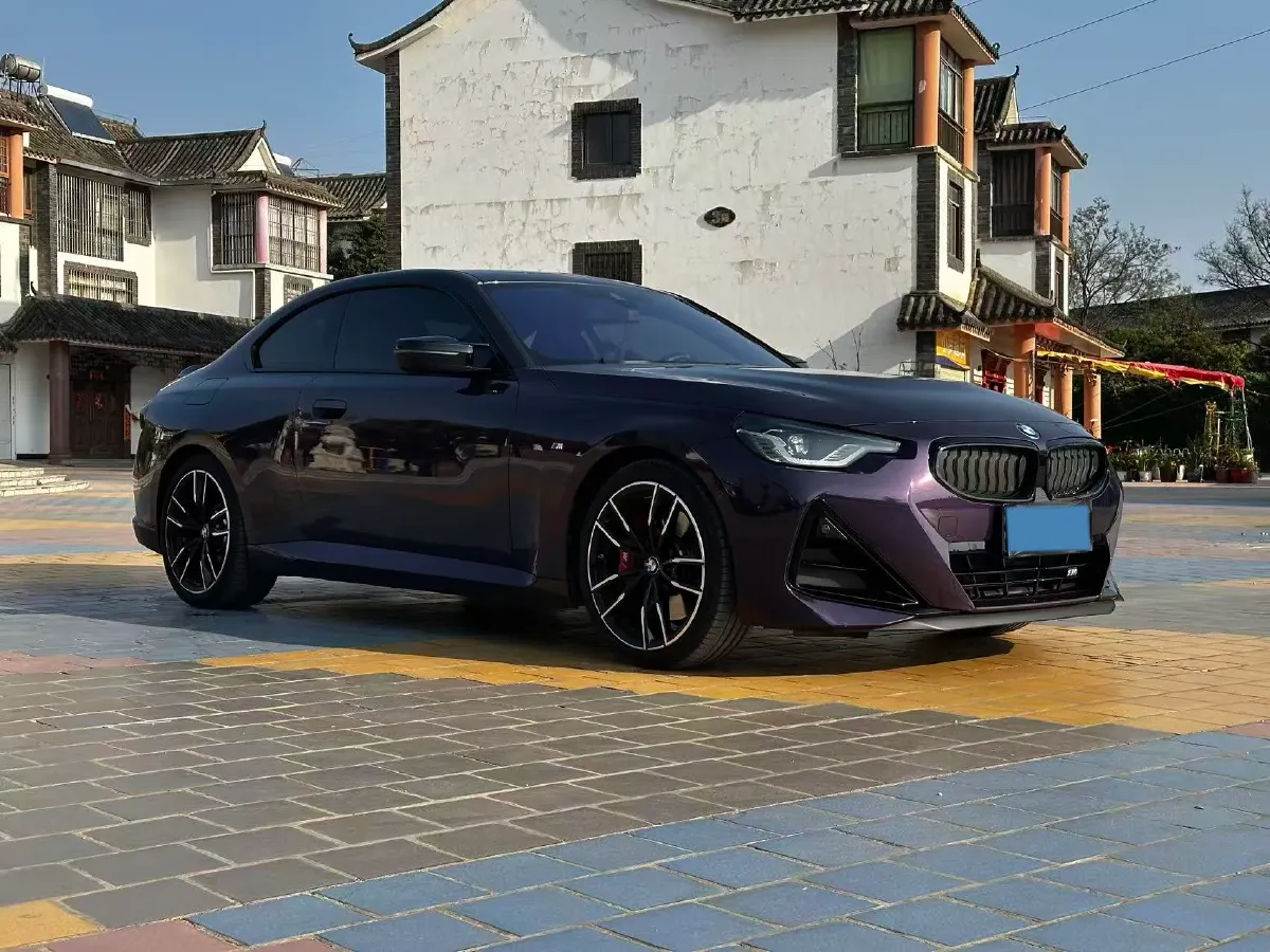 2025 BMW 2 Series 2.0T 184HP L4 8AT,autocango,china used car exporter,china ev exporter,chinese used car exporter,chinese used ev exporter