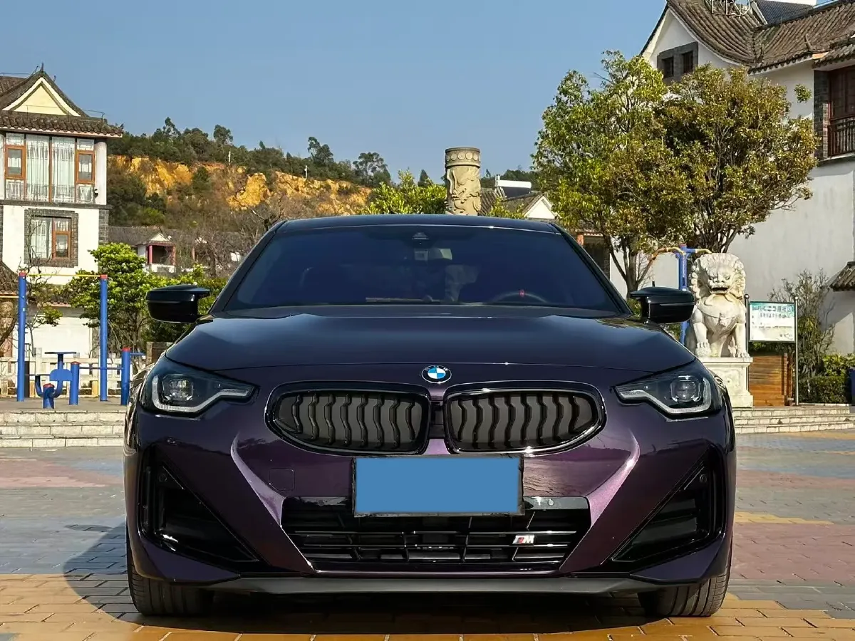 2025 BMW 2 Series 2.0T 184HP L4 8AT,autocango,china used car exporter,china ev exporter,chinese used car exporter,chinese used ev exporter