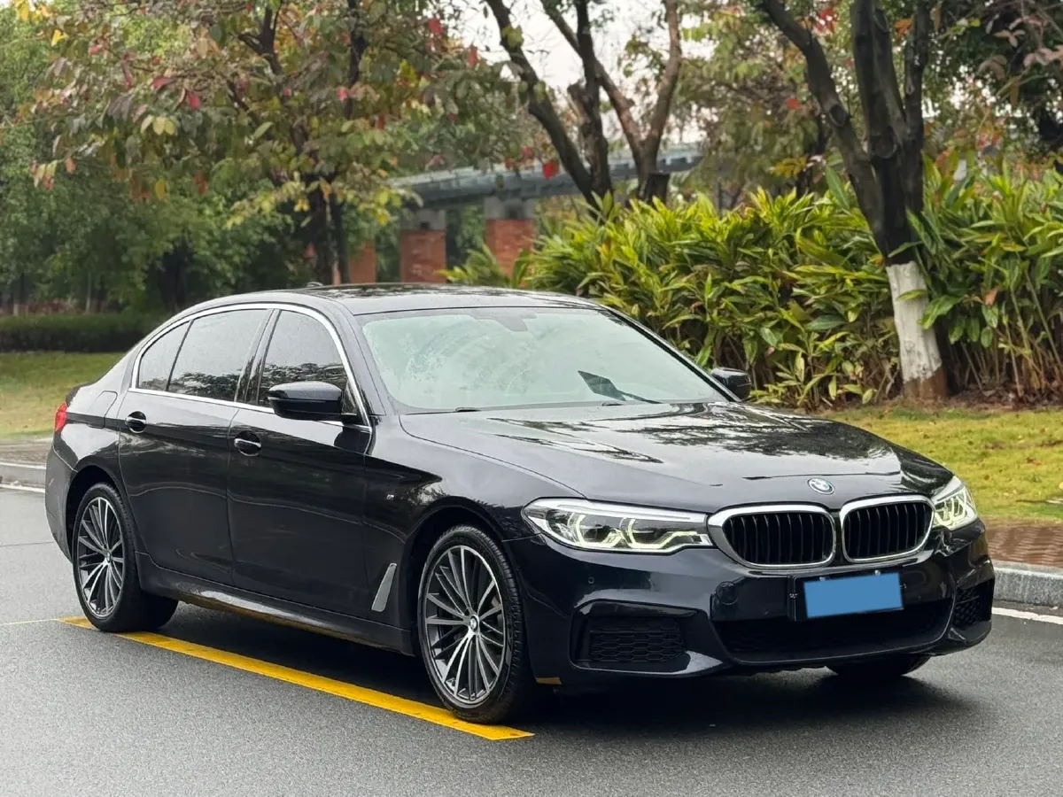 2020 BMW 5 Series 2.0T 252HP L4 8AT,autocango,china used car exporter,china ev exporter,chinese used car exporter,chinese used ev exporter