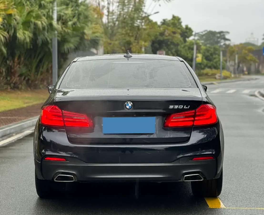 2020 BMW 5 Series 2.0T 252HP L4 8AT,autocango,china used car exporter,china ev exporter,chinese used car exporter,chinese used ev exporter