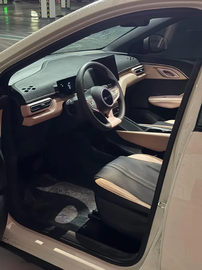 2025 BYD Seagull BEV 30.08KWH,autocango,china used car exporter,china ev exporter,chinese used car exporter,chinese used ev exporter