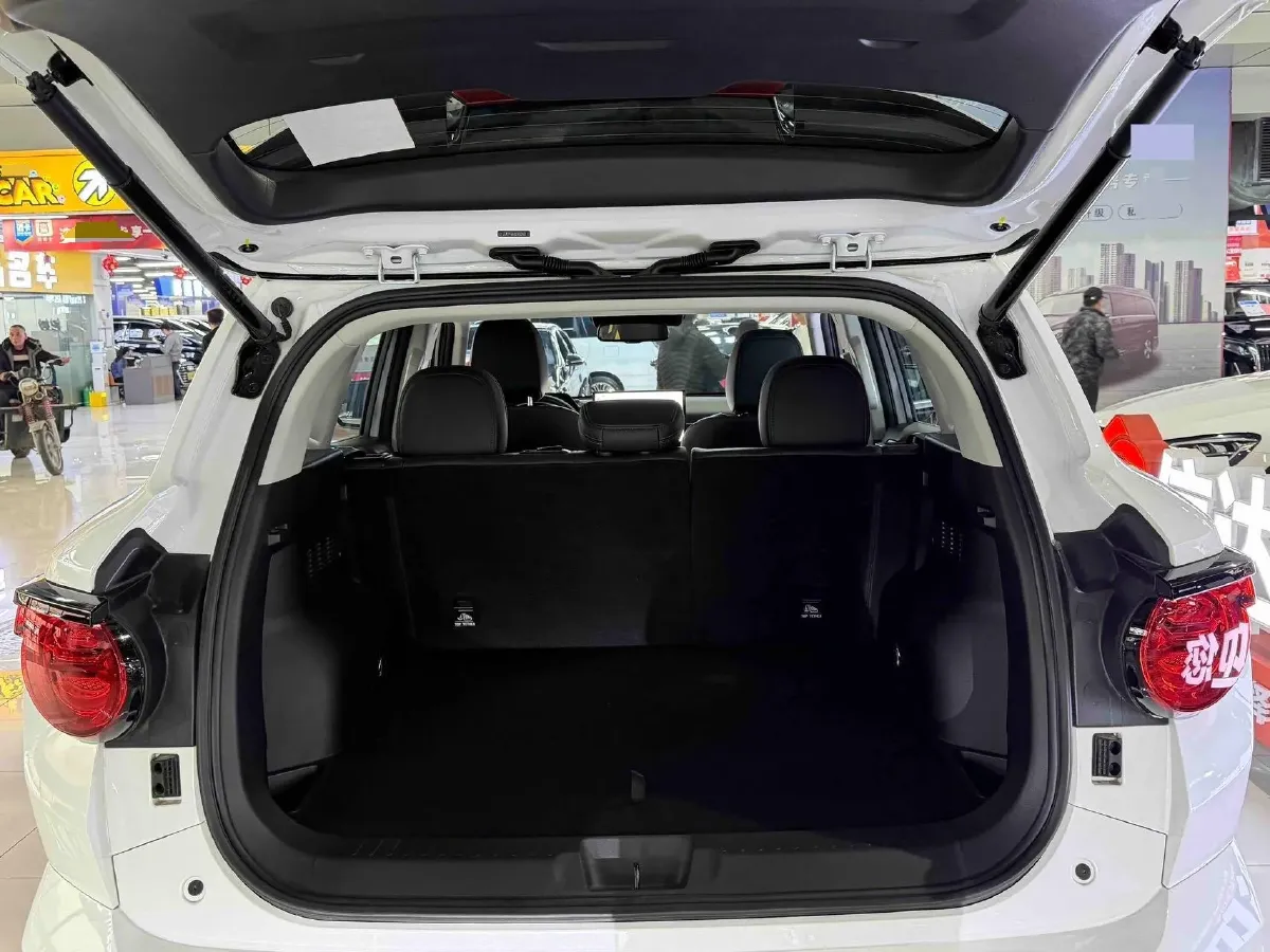 2024 Haval Dargo 1.5T 167HP L4 2DHT PHEV 18.74KWH,autocango,china used car exporter,china ev exporter,chinese used car exporter,chinese used ev exporter