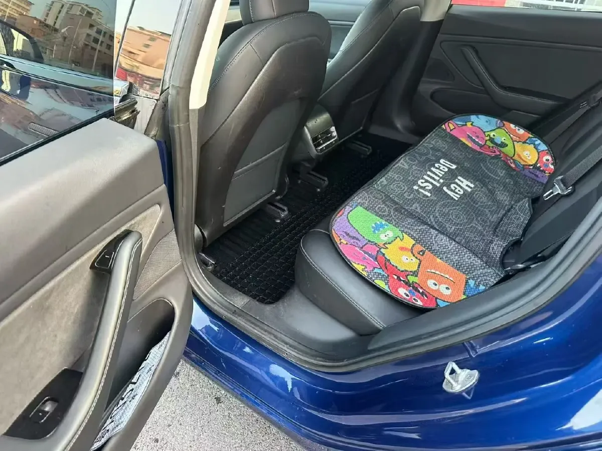 2019 Tesla Model 3 BEV 60KWH,autocango,china used car exporter,china ev exporter,chinese used car exporter,chinese used ev exporter