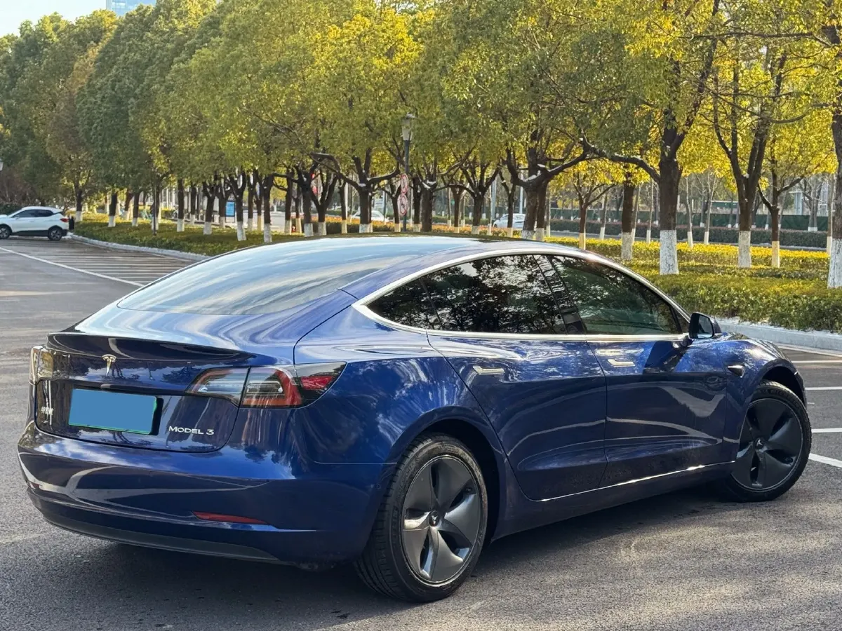 2020 Tesla Model 3 BEV 55KWH,autocango,china used car exporter,china ev exporter,chinese used car exporter,chinese used ev exporter