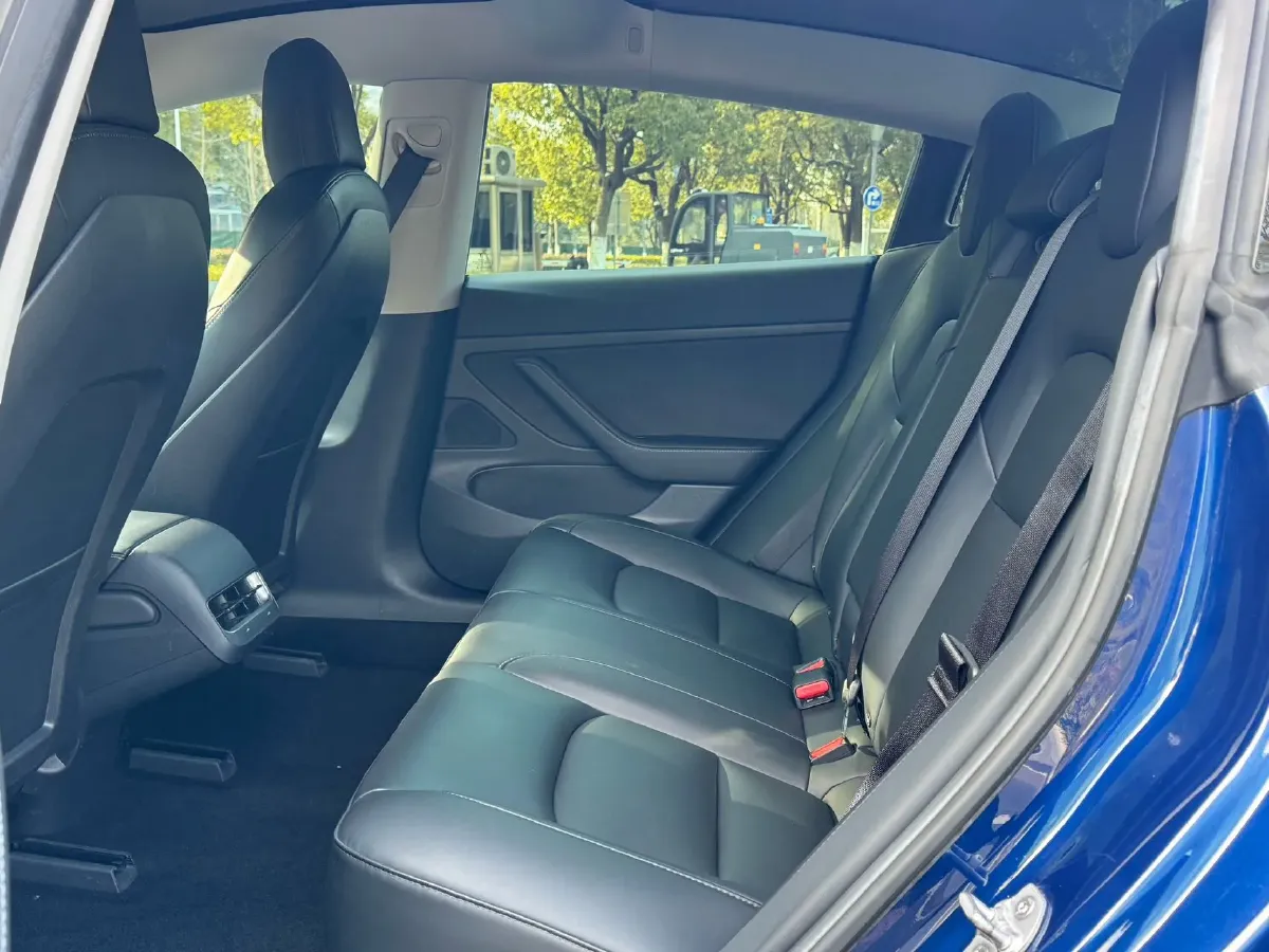 2020 Tesla Model 3 BEV 55KWH,autocango,china used car exporter,china ev exporter,chinese used car exporter,chinese used ev exporter