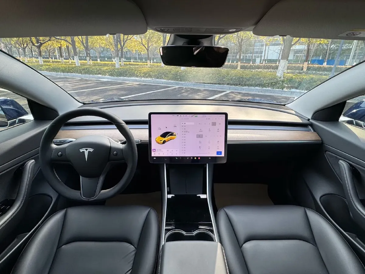 2020 Tesla Model 3 BEV 55KWH,autocango,china used car exporter,china ev exporter,chinese used car exporter,chinese used ev exporter