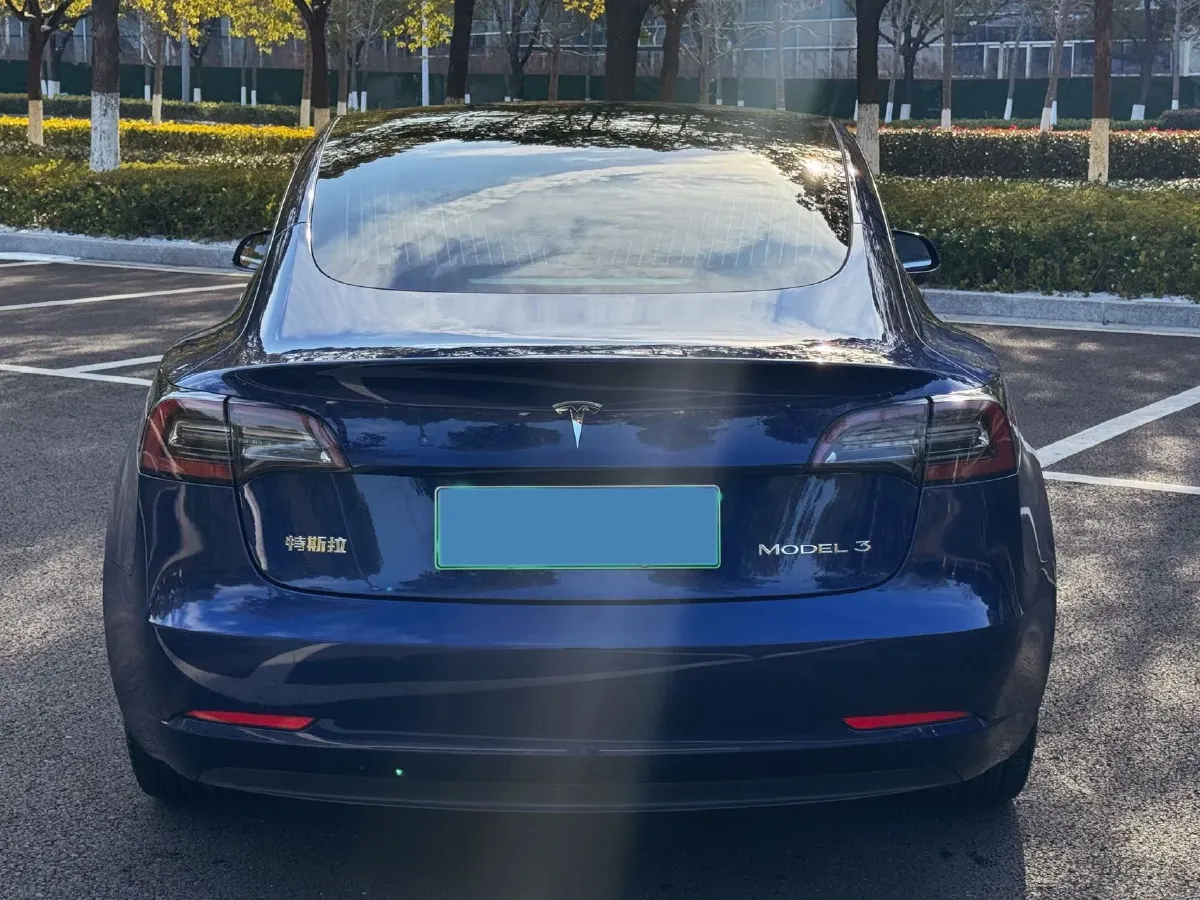 2020 Tesla Model 3 BEV 55KWH,autocango,china used car exporter,china ev exporter,chinese used car exporter,chinese used ev exporter