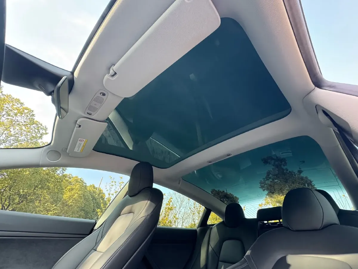 2020 Tesla Model 3 BEV 55KWH,autocango,china used car exporter,china ev exporter,chinese used car exporter,chinese used ev exporter