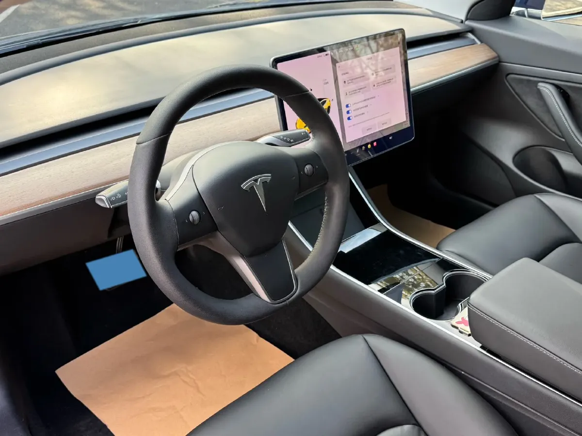 2020 Tesla Model 3 BEV 55KWH,autocango,china used car exporter,china ev exporter,chinese used car exporter,chinese used ev exporter