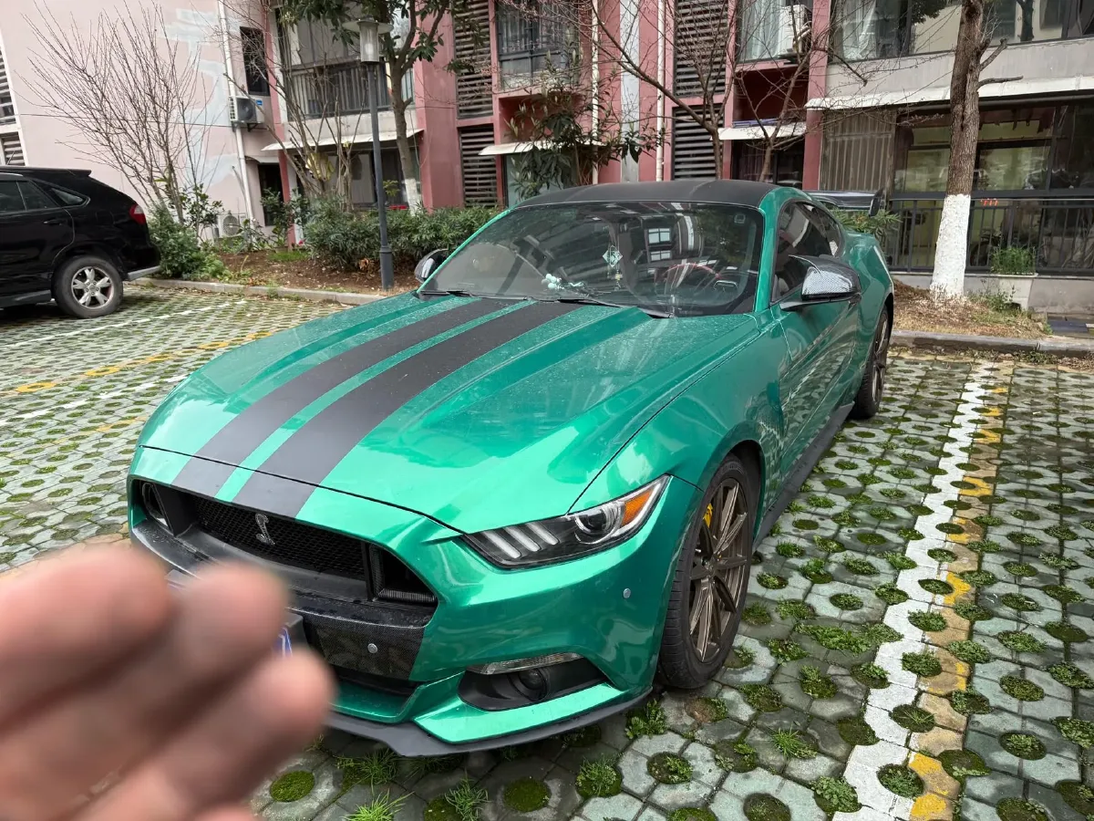 2017 Ford Mustang 2.3T 314HP L4 6AT,autocango,china used car exporter,china ev exporter,chinese used car exporter,chinese used ev exporter