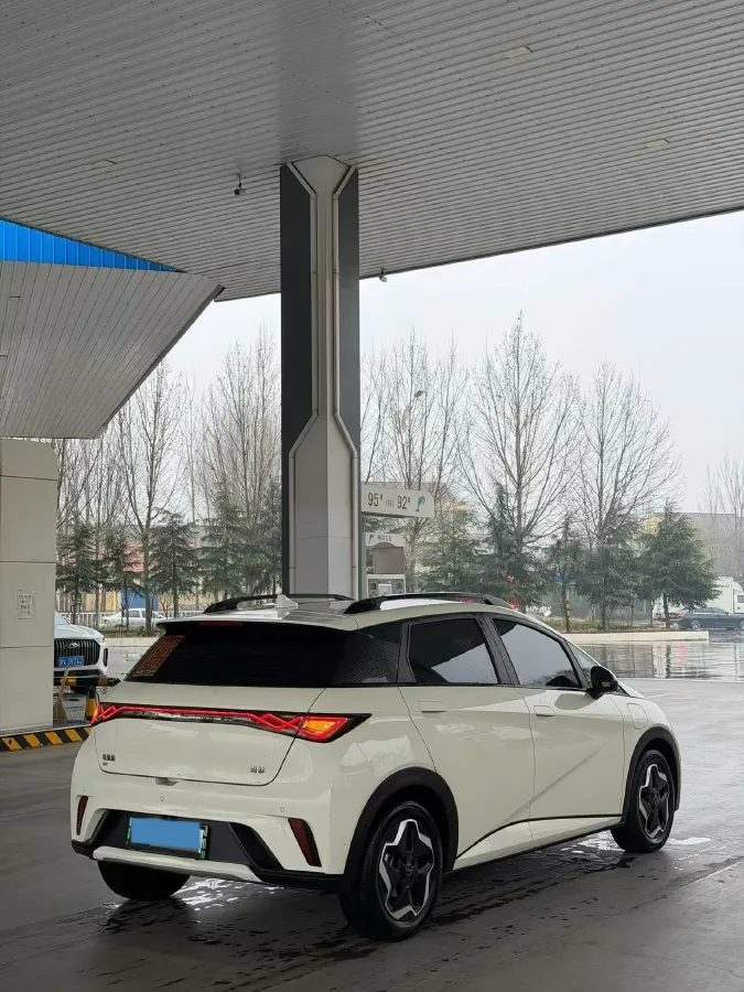 2025 BYD Dolphin BEV 44.928KWH,autocango,china used car exporter,china ev exporter,chinese used car exporter,chinese used ev exporter