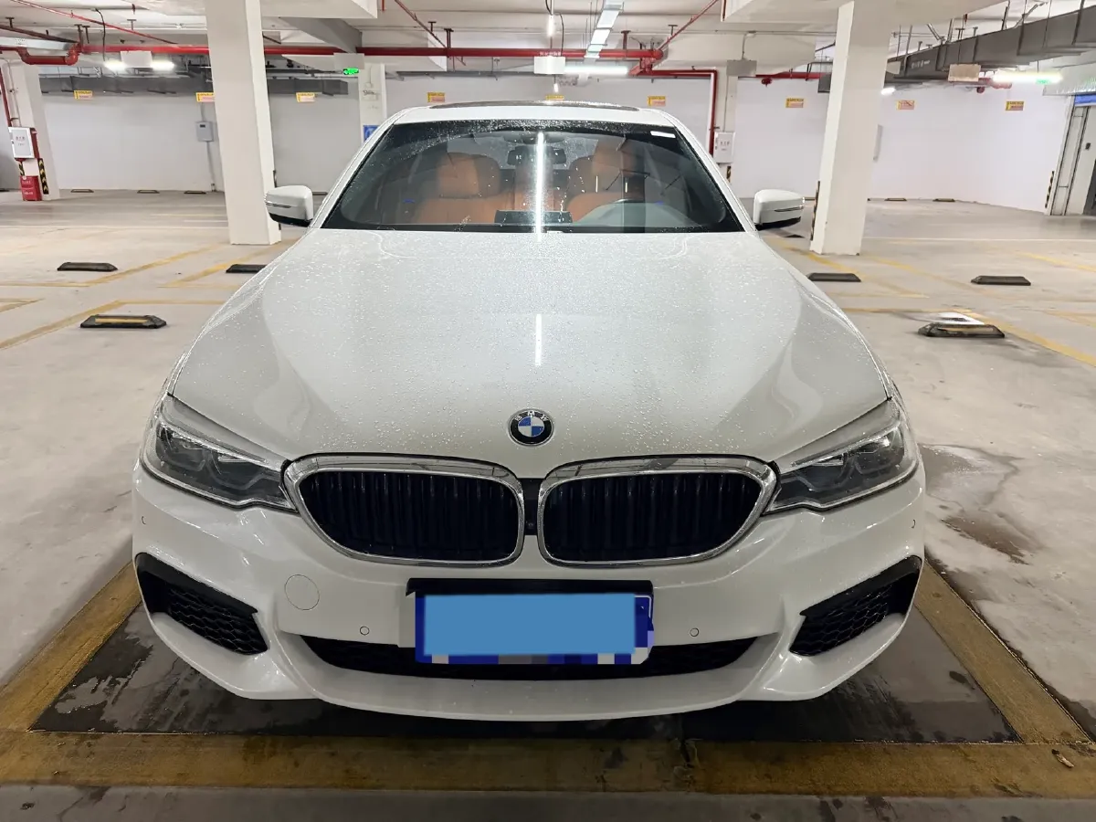 2020 BMW 5 Series 2.0T 252HP L4 8AT,autocango,china used car exporter,china ev exporter,chinese used car exporter,chinese used ev exporter