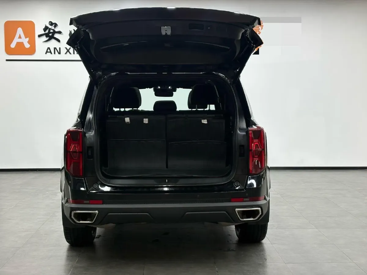 2024 GAC Trumpchi GS8 2.0T 252HP L4 8AT,autocango,china used car exporter,china ev exporter,chinese used car exporter,chinese used ev exporter