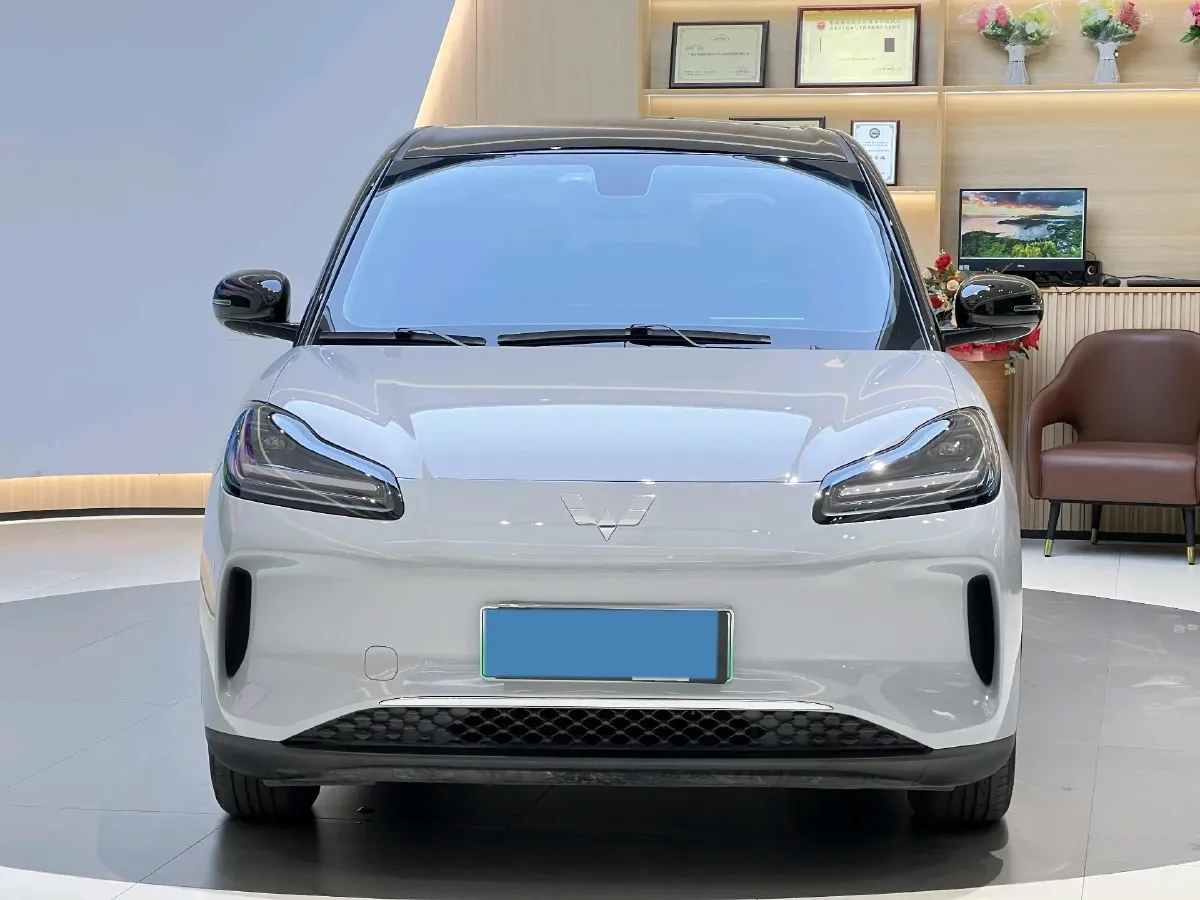 2024 WuLing BinGuoPLUS BEV 37.9KWH,autocango,china used car exporter,china ev exporter,chinese used car exporter,chinese used ev exporter