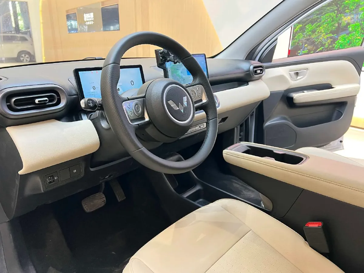 2024 WuLing BinGuoPLUS BEV 37.9KWH,autocango,china used car exporter,china ev exporter,chinese used car exporter,chinese used ev exporter