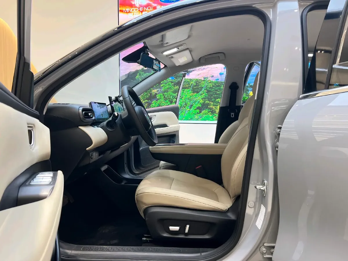 2024 WuLing BinGuoPLUS BEV 37.9KWH,autocango,china used car exporter,china ev exporter,chinese used car exporter,chinese used ev exporter