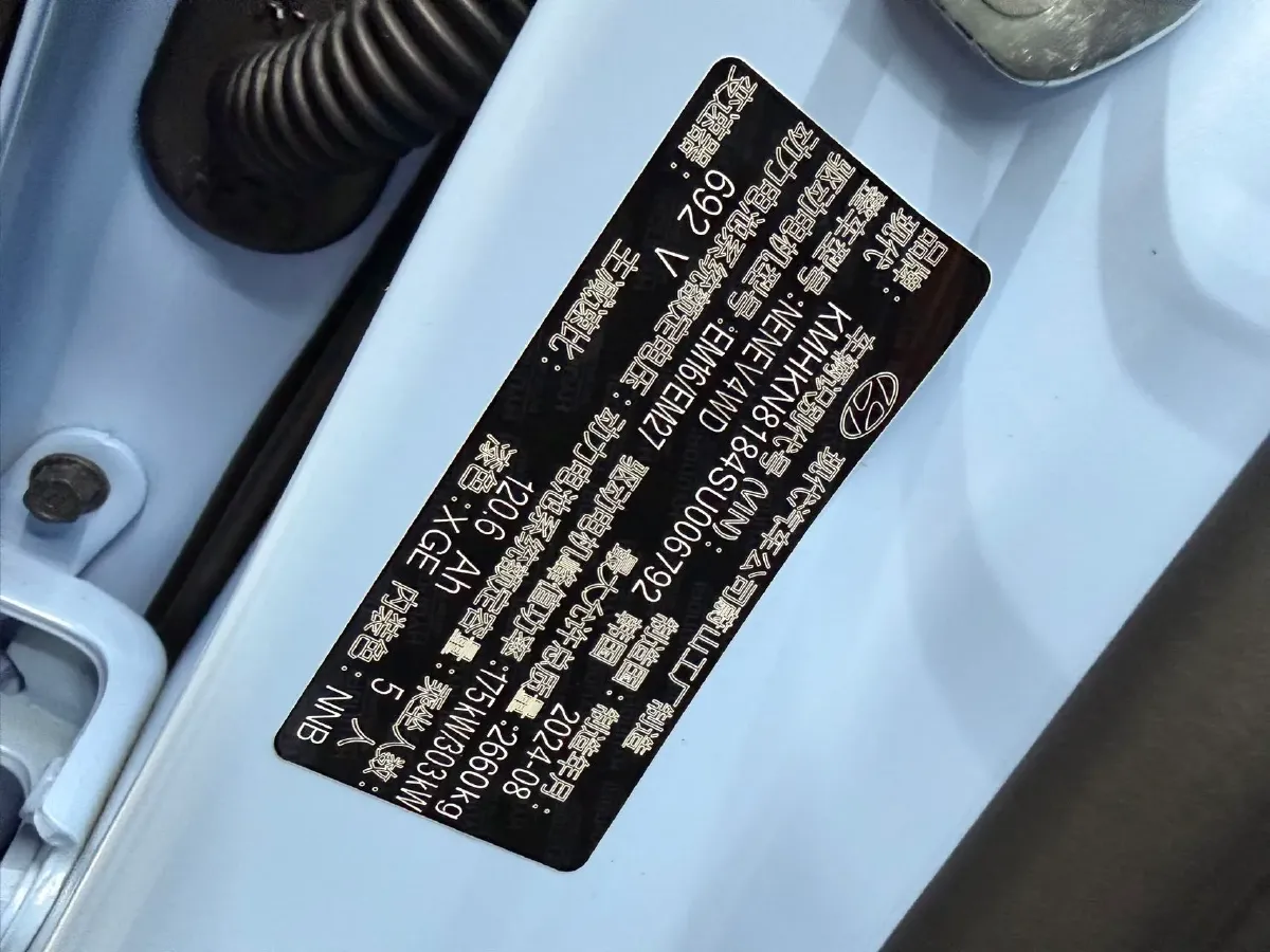 2024 Hyundai IONIQ 5 N BEV 83.3KWH,autocango,china used car exporter,china ev exporter,chinese used car exporter,chinese used ev exporter