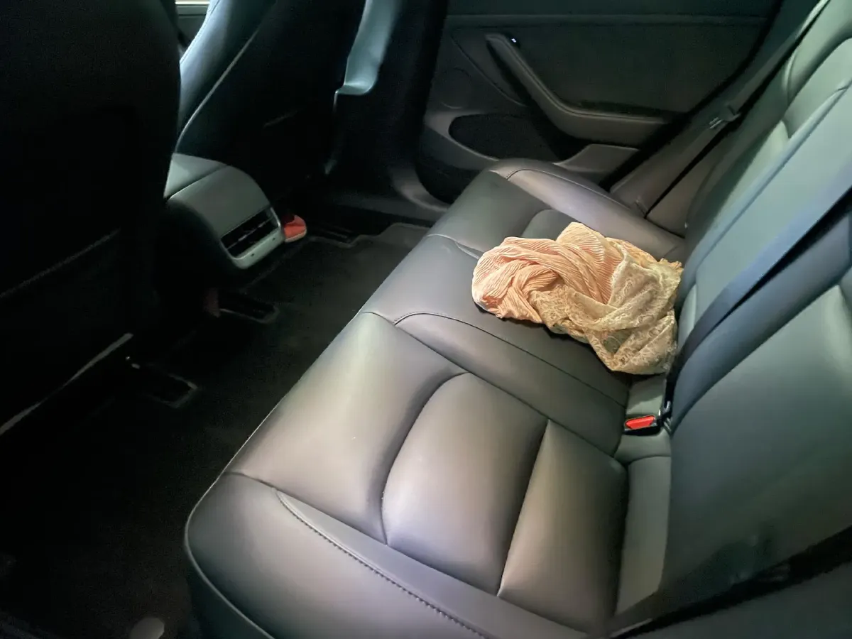 2022 Tesla Model 3 BEV 60KWH,autocango,china used car exporter,china ev exporter,chinese used car exporter,chinese used ev exporter