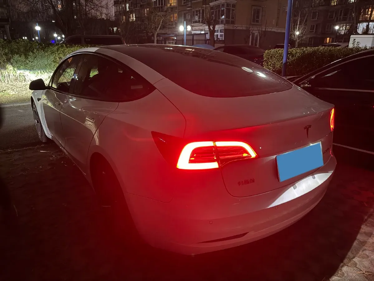 2021 Tesla Model 3 BEV 55KWH,autocango,china used car exporter,china ev exporter,chinese used car exporter,chinese used ev exporter