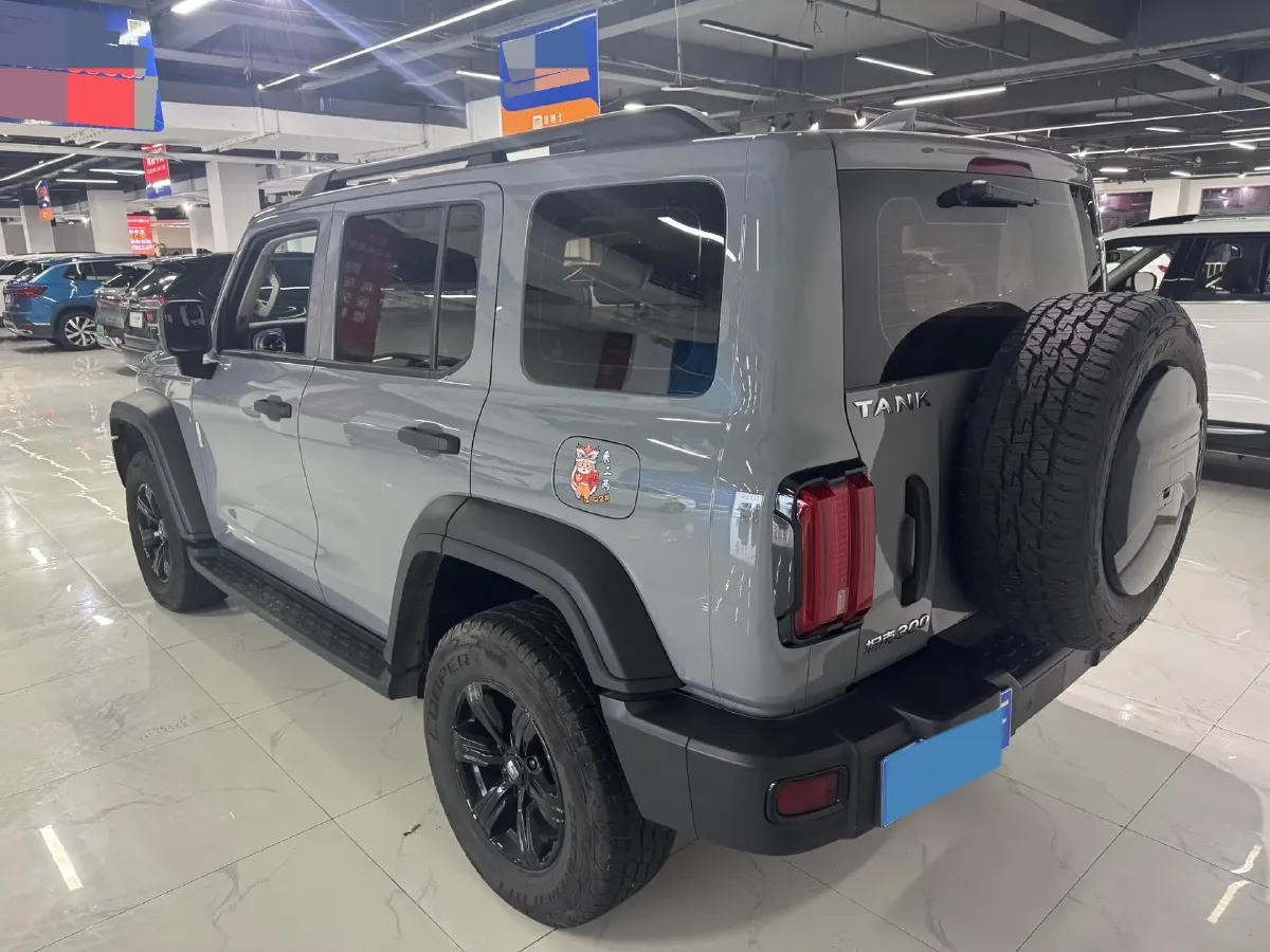 2021 Tank 300 2.0T 227HP L4 8AT,autocango,china used car exporter,china ev exporter,chinese used car exporter,chinese used ev exporter