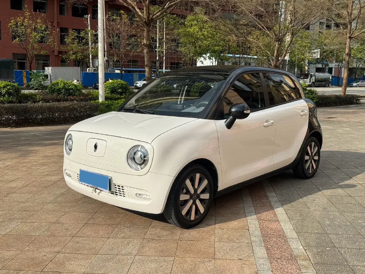 2019 Ora BlackCat BEV 33KWH,autocango,china used car exporter,china ev exporter,chinese used car exporter,chinese used ev exporter