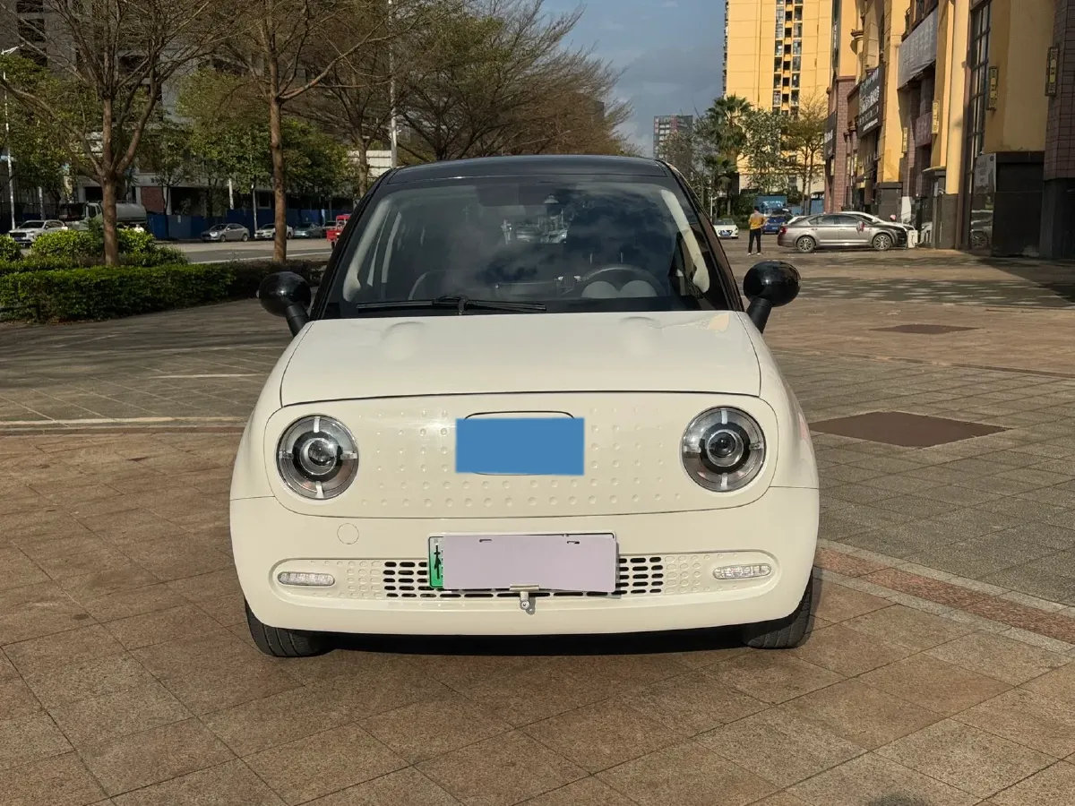 2019 Ora BlackCat BEV 33KWH,autocango,china used car exporter,china ev exporter,chinese used car exporter,chinese used ev exporter