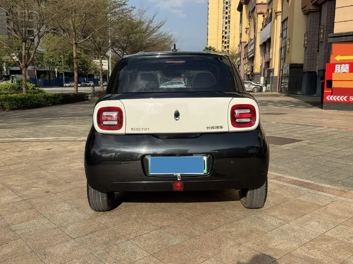 2019 Ora BlackCat BEV 33KWH,autocango,china used car exporter,china ev exporter,chinese used car exporter,chinese used ev exporter