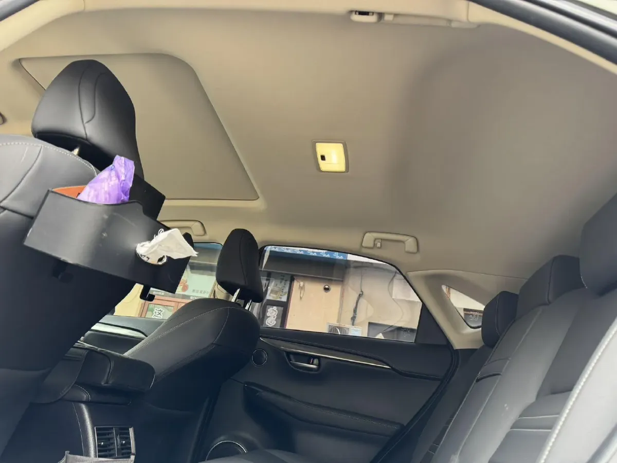 2020 Lexus NX 2.0L 150HP L4 CVT,autocango,china used car exporter,china ev exporter,chinese used car exporter,chinese used ev exporter