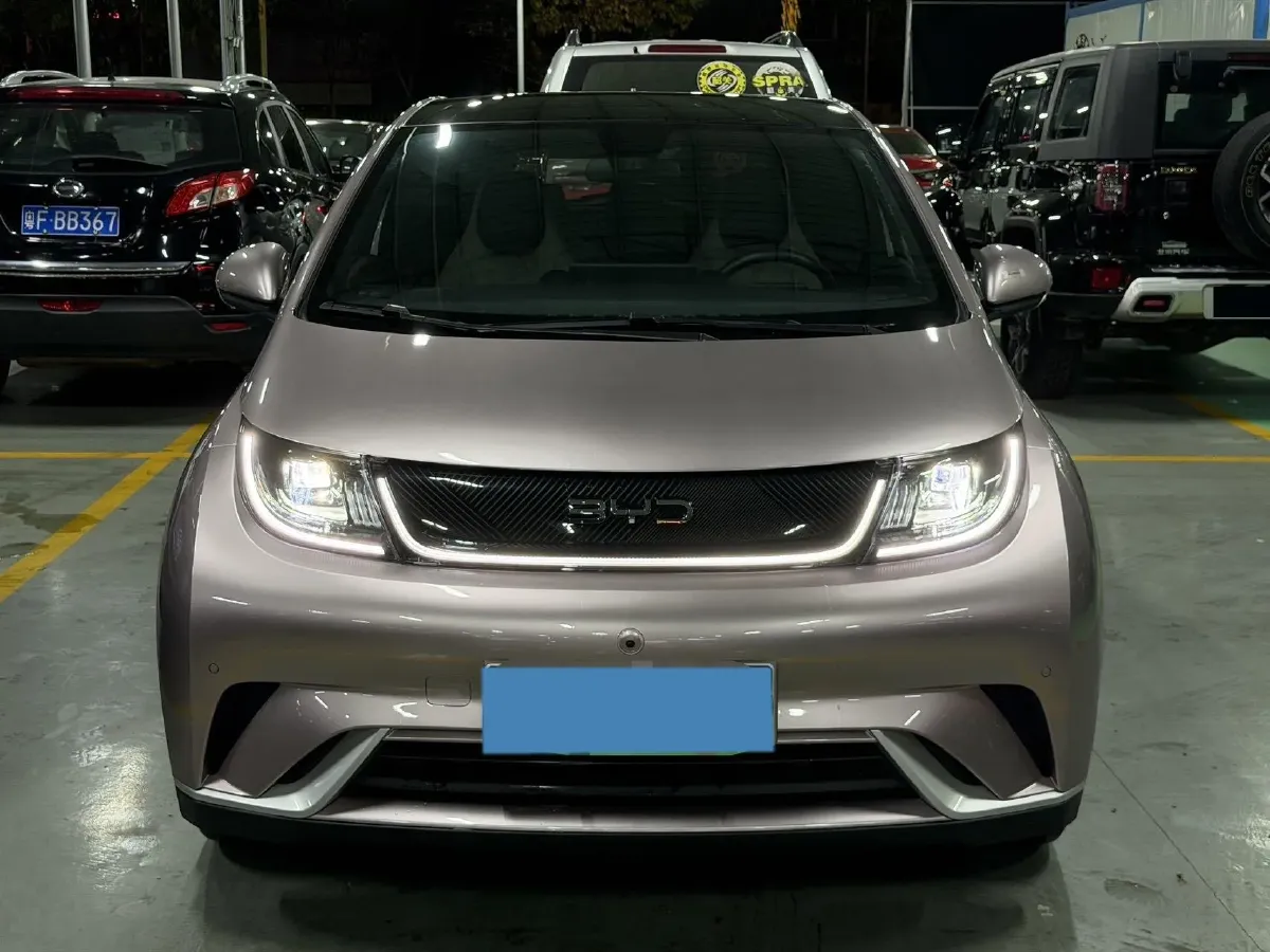 2023 BYD Dolphin BEV 44.928KWH,autocango,china used car exporter,china ev exporter,chinese used car exporter,chinese used ev exporter