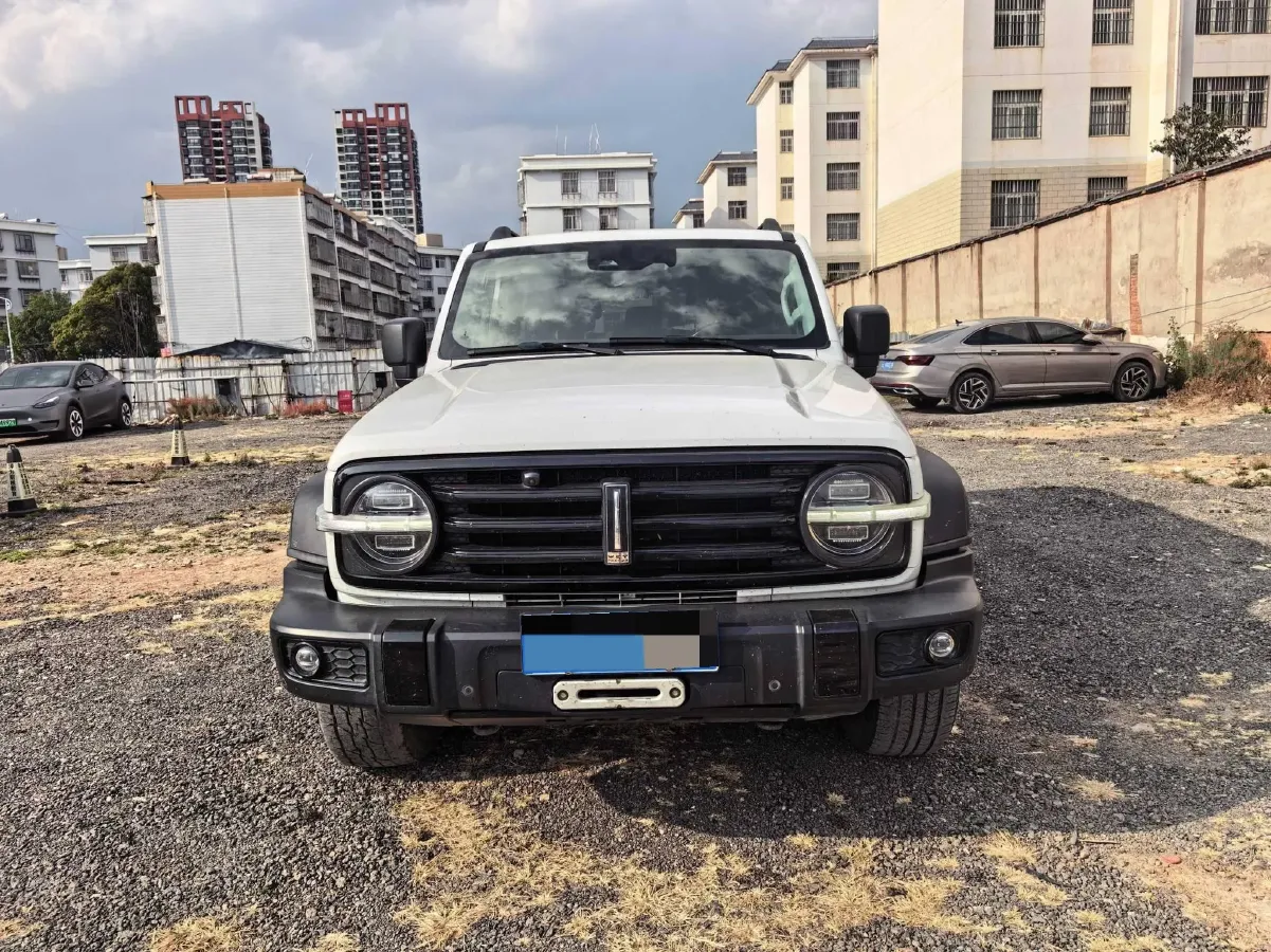 2021 Tank 300 2.0T 227HP L4 8AT,autocango,china used car exporter,china ev exporter,chinese used car exporter,chinese used ev exporter
